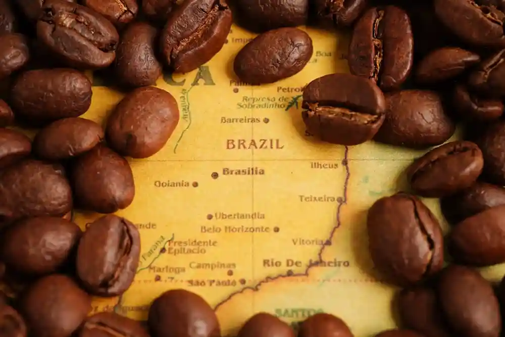 Brazilian Coffee: A Regional Favorite